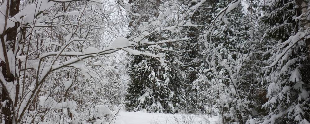 Фотография Посулово