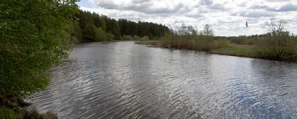 
            Фотография поселка Горки