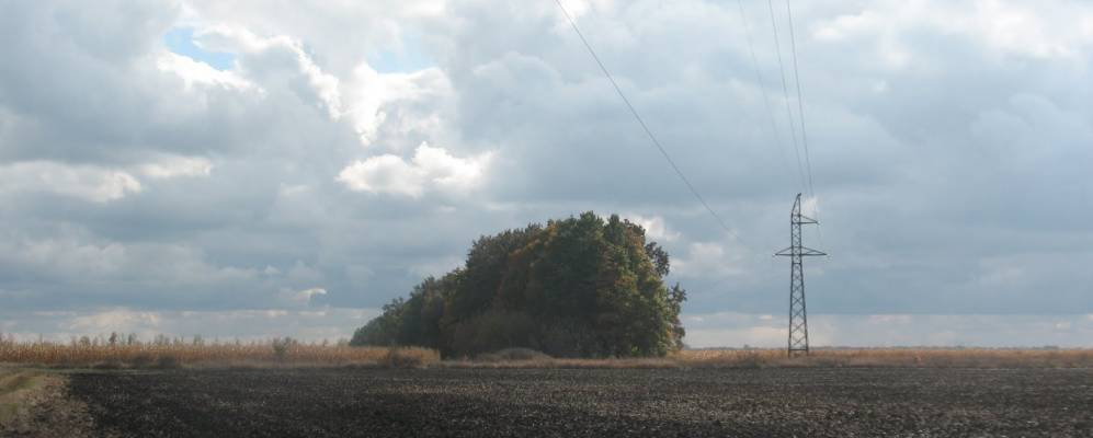 
            Фотография Коржихи