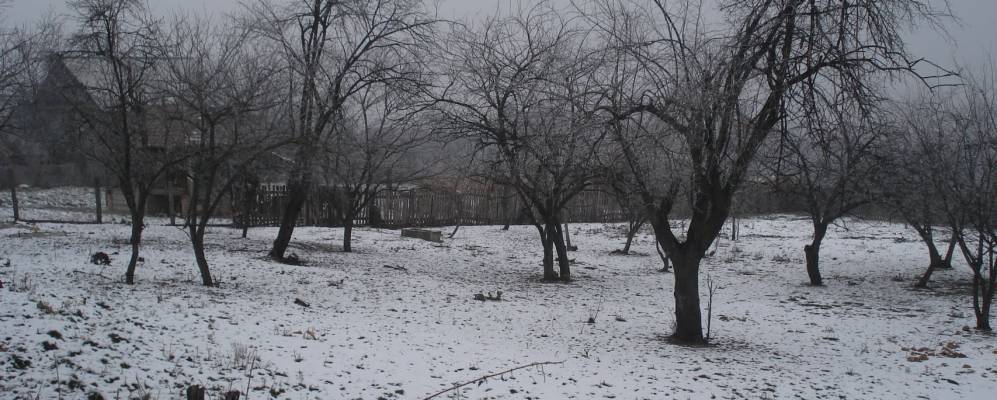 
            Фотография Вранича