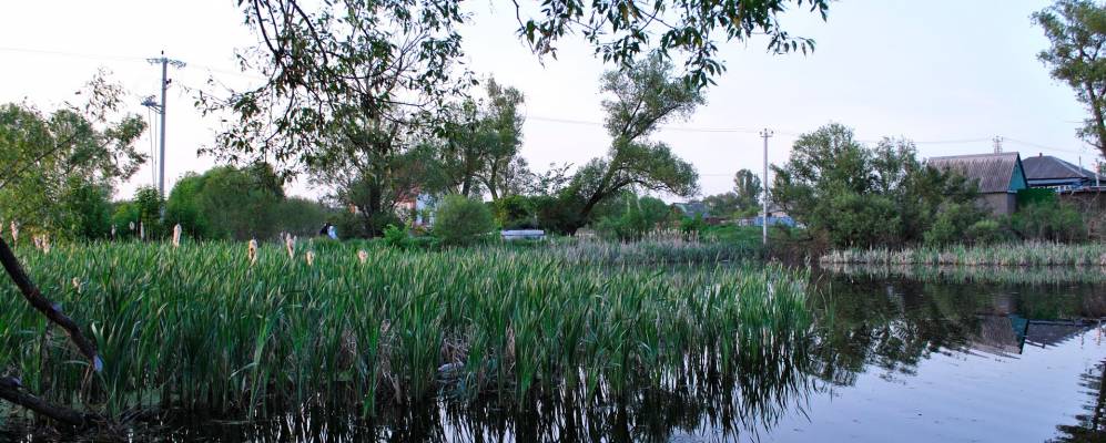 
            Фотография Черниково