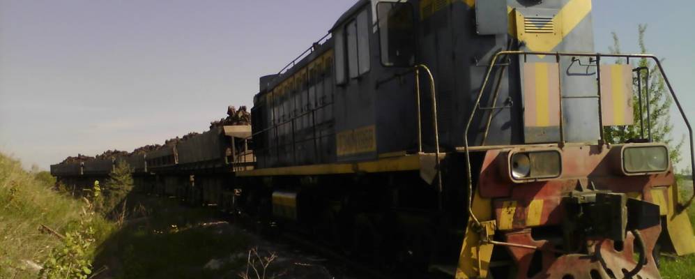 
            Фотография Радицы