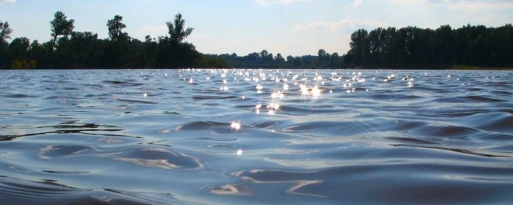 
            Фотография Калмаков