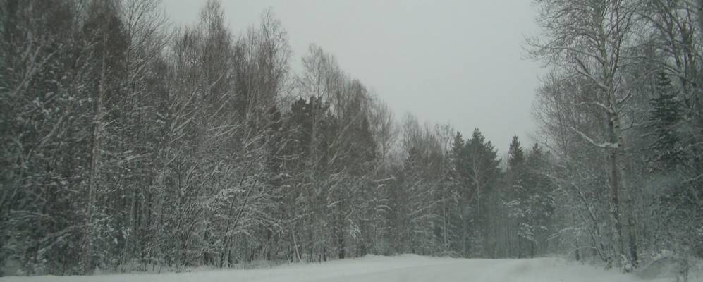 
            Фотография Сахалинки