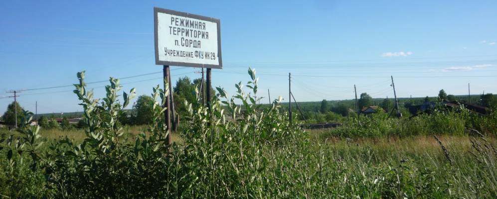 
            Фотография Сорды