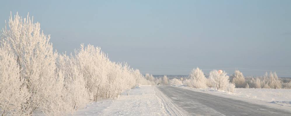 
            Фотография Козохты