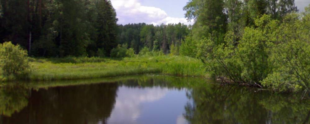 
            Фотография Большой Палшемы