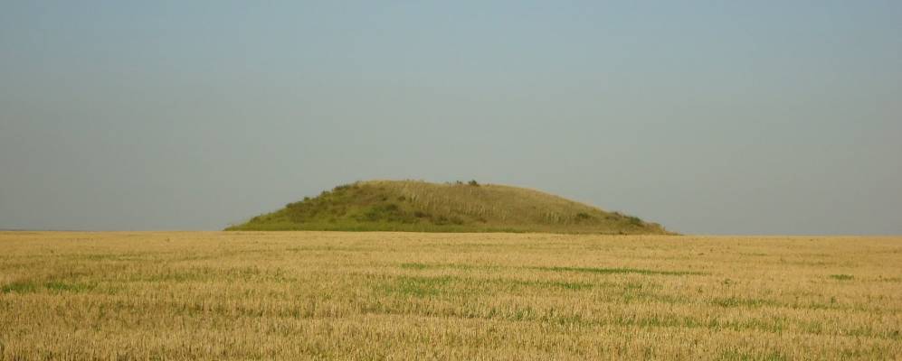 
            Фотография Красногорского