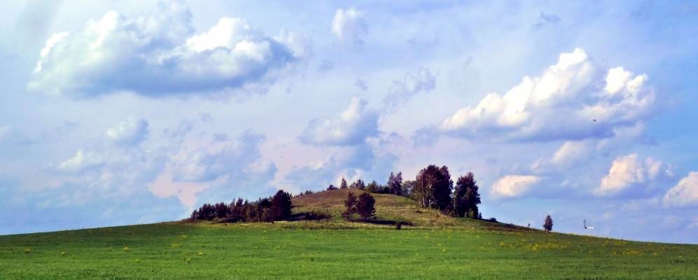 
            Фотография Лебяжьего