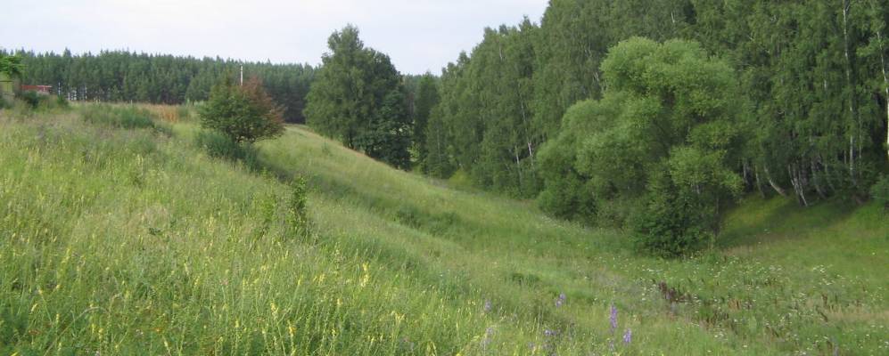 
            Фотография Тростяного