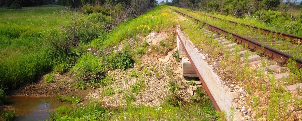 
            Фотография Дровнино