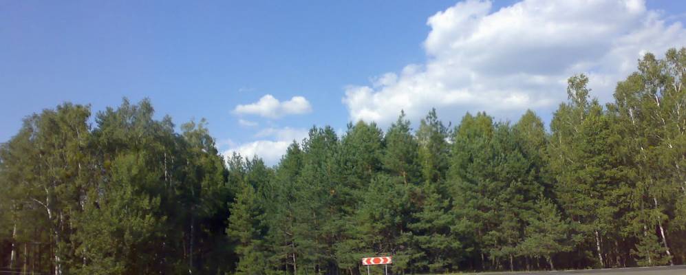 
            Фотография Якимовичей