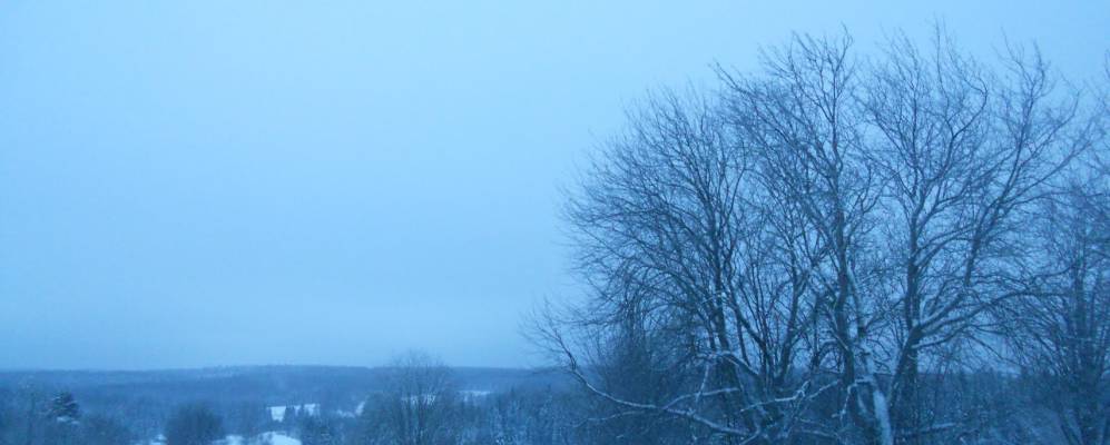 
            Фотография Спиринцев