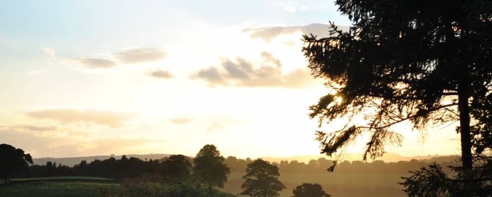 Фотография Пилслей