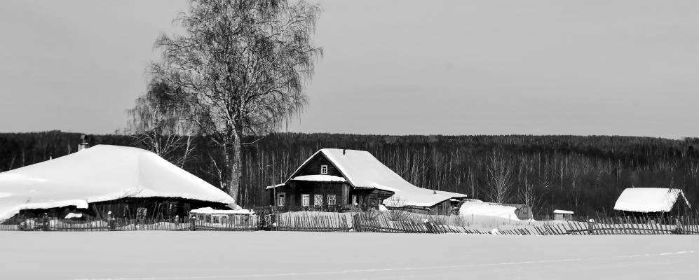 Фотография Боярщины