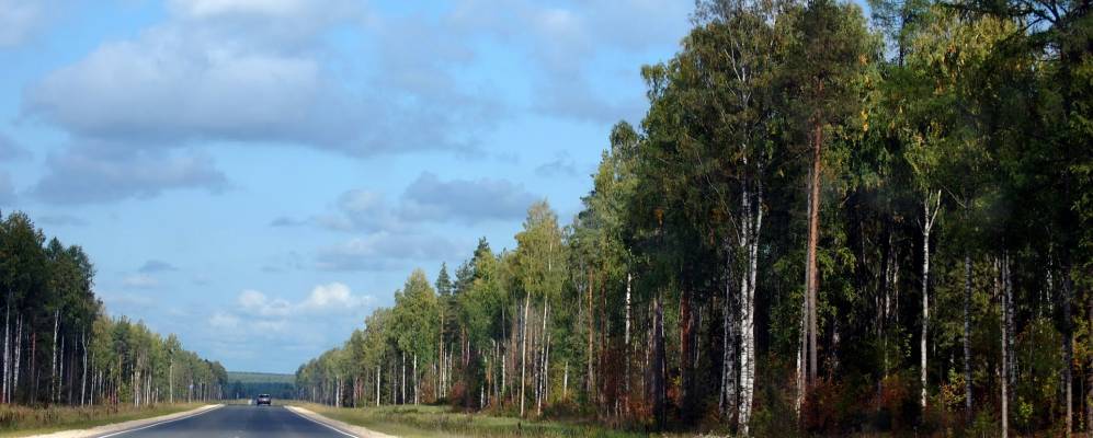 
            Фотография Гаврилово