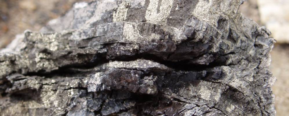 
            Фотография Ягодинки Второй