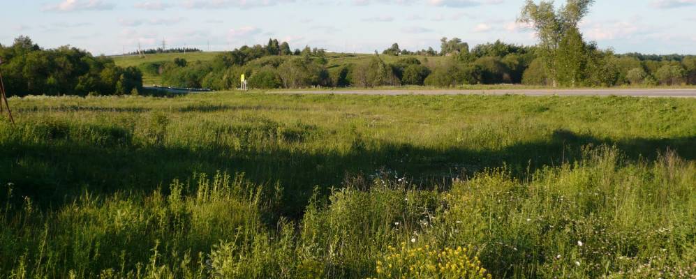 Фотография Темной