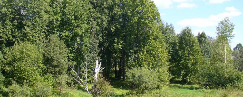 
            Фотография Подрелино