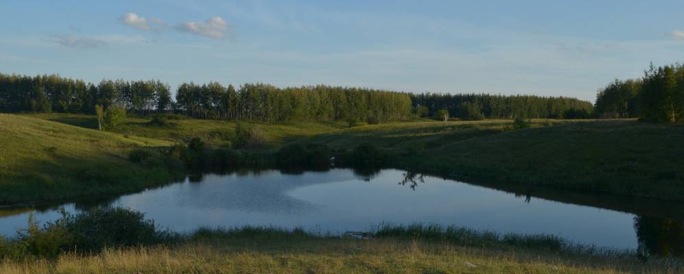 
            Фотография Караваино