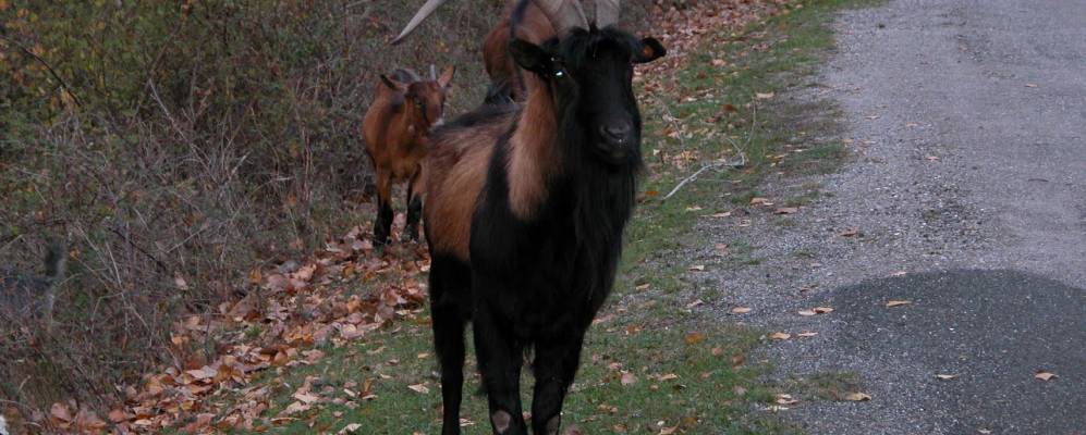 
            Фотография Мунилья