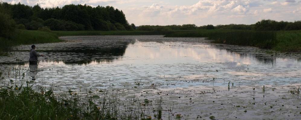 
            Фотография Студёнки