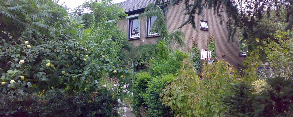 
            Фотография Цельхема