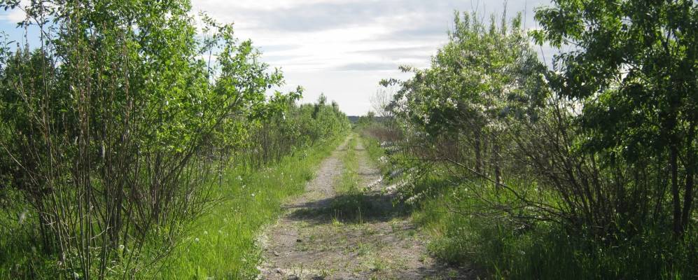 
            Фотография Малого Замостья