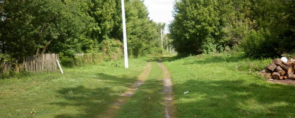 
            Фотография Вети