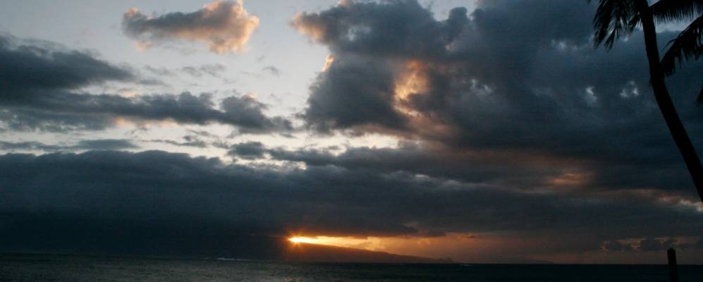 
            Фотография Пэйы