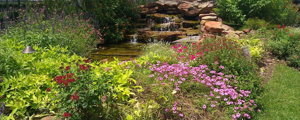 
            Фотография Брукшира