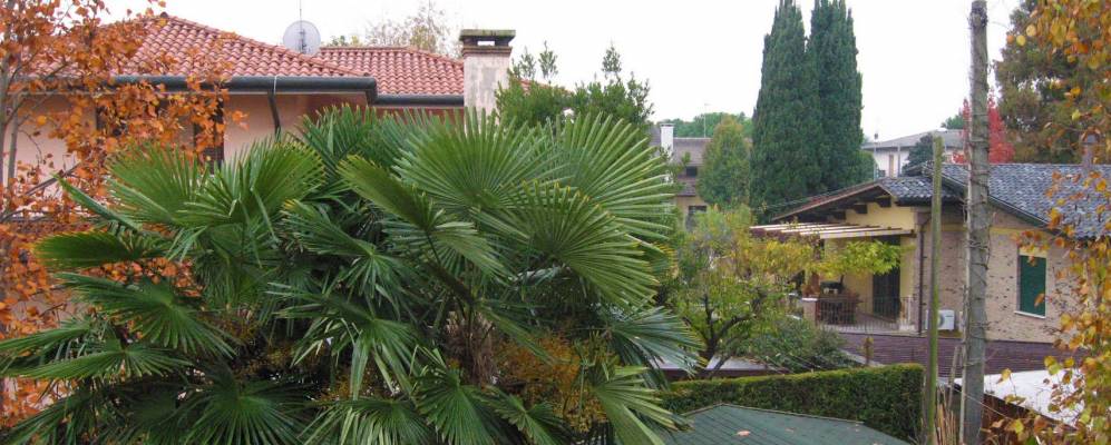 
            Фотография Новенты