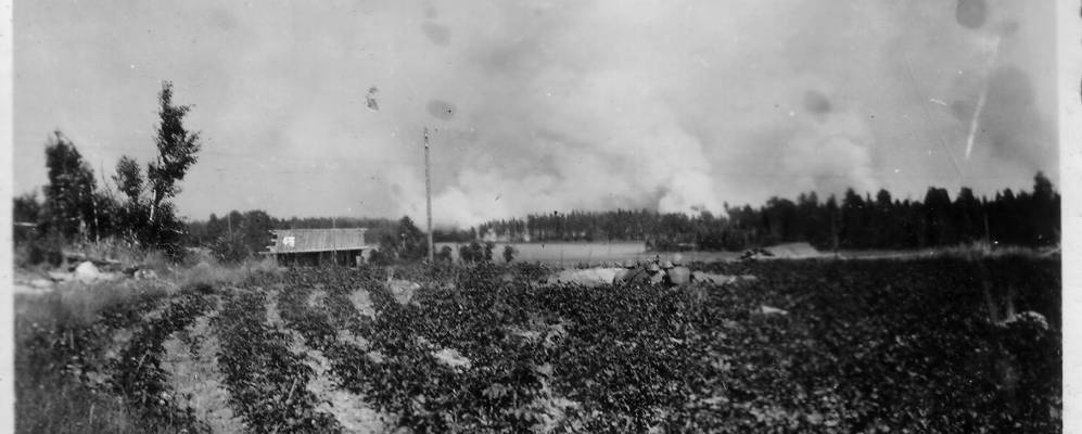 
            Фотография Емельяновки