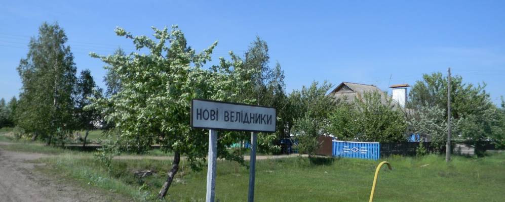 
            Фотография Прибытки