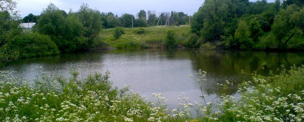 
            Фотография Белевца