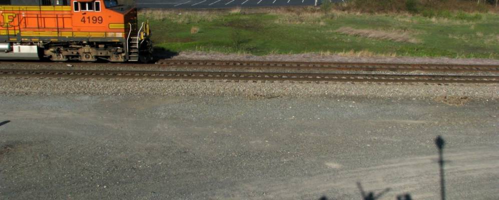 
            Фотография Блэйна