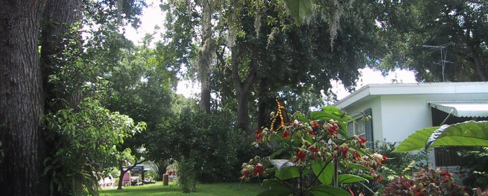 
            Фотография Байонет Пойнта