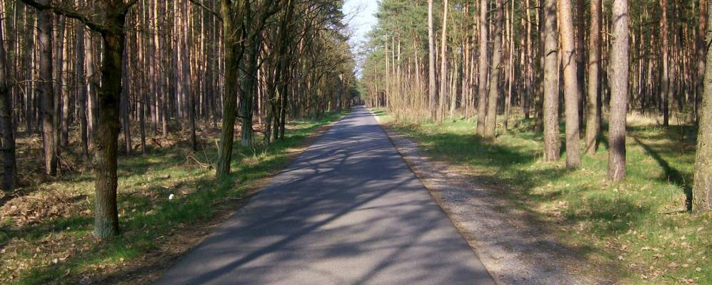 
            Фотография Шпреенхагена