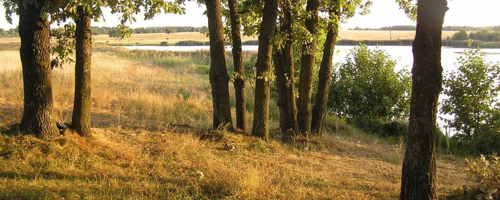 
            Фотография Горбачи