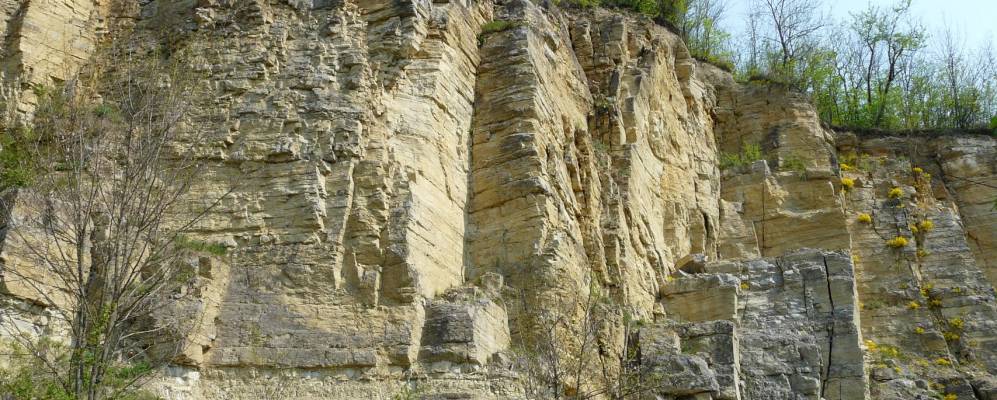 
            Фотография Дзвенигорода