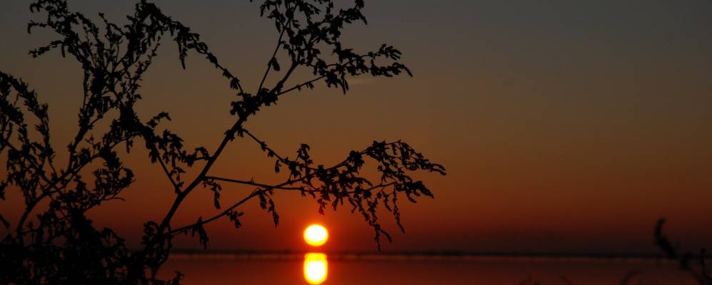 
            Фотография Миреваля