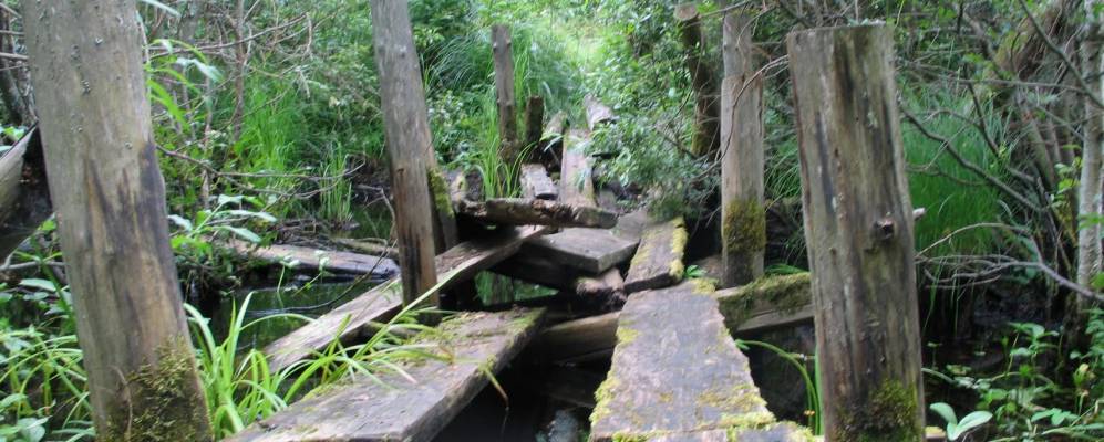 
            Фотография Исаково