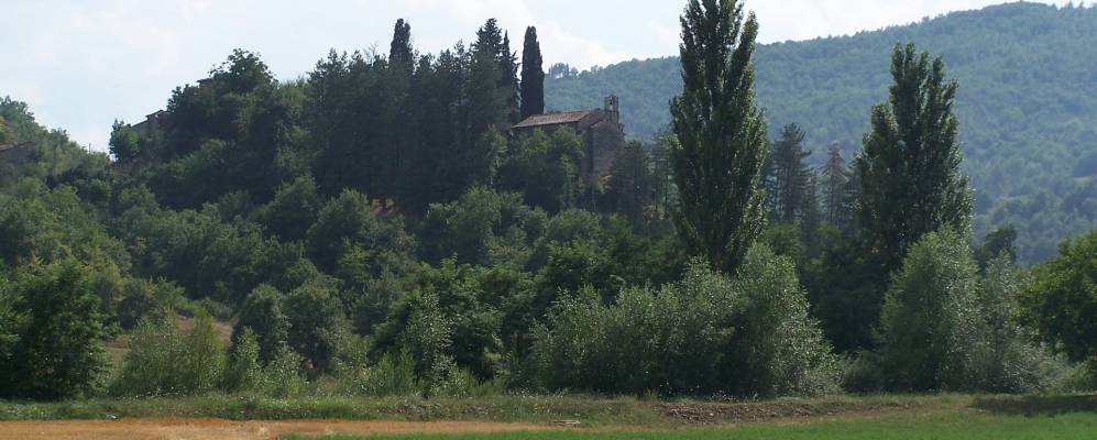 
            Фотография Таллы