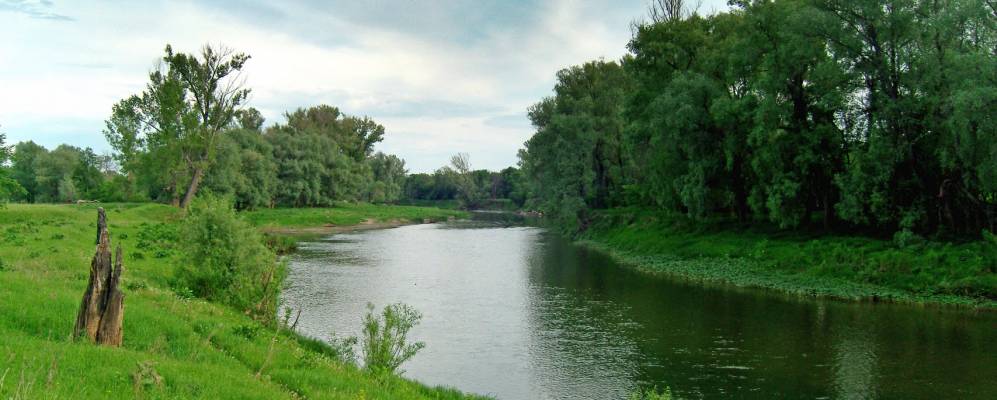 
            Фотография Кузнецовки