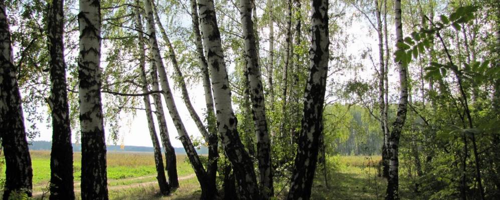 
            Фотография Боково-Акулово