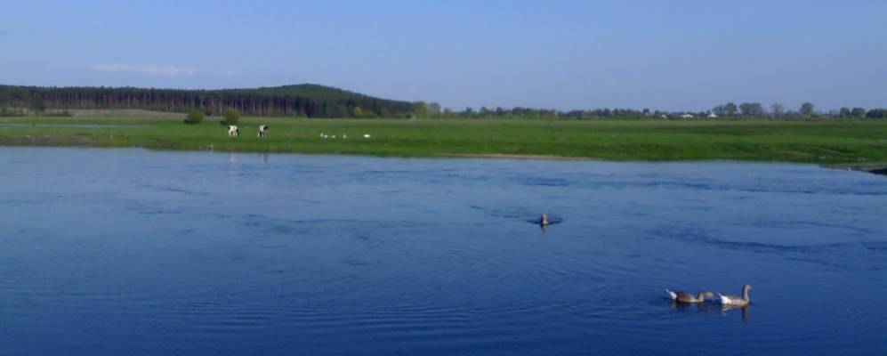 
            Фотография Бугрина