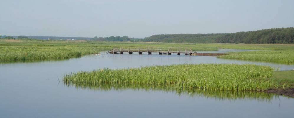 
            Фотография Арсеновичи