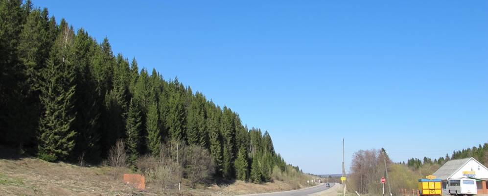 
            Фотография Куньи