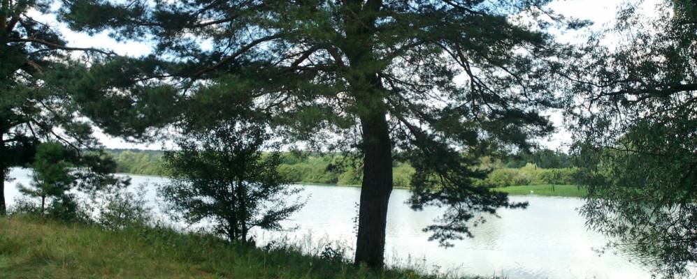 
            Фотография Заракитного