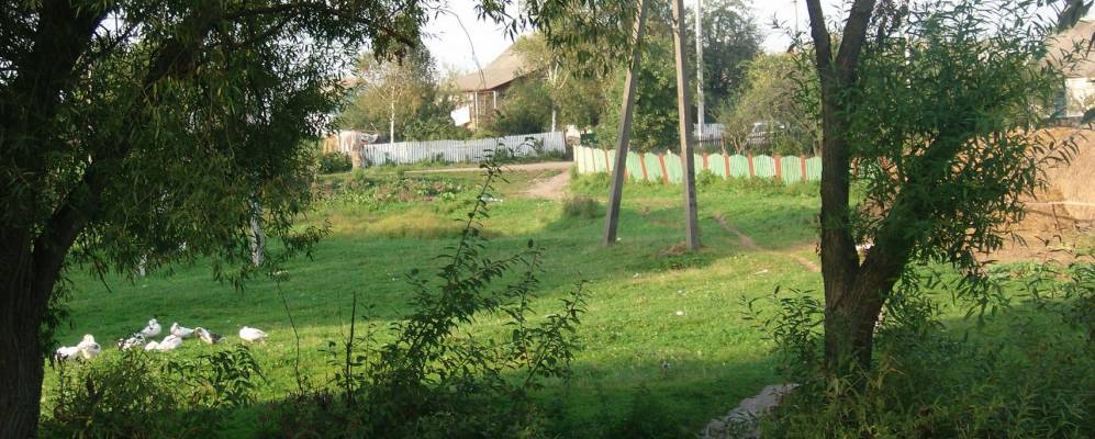 
            Фотография Нараевки